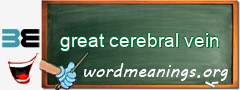 WordMeaning blackboard for great cerebral vein